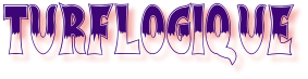 turf logi que